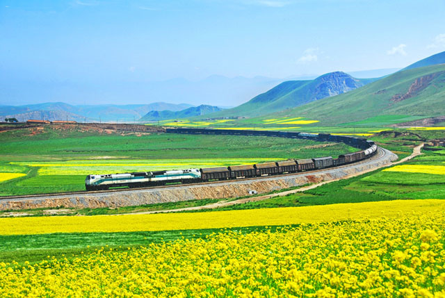 我的旅行我的花 - 花與火車的旅行