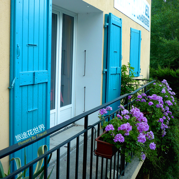 來自歐洲的“窗花”